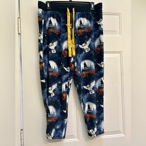Harry Potter Hogwarts Pajama Bottoms by Wizarding World Blue XL